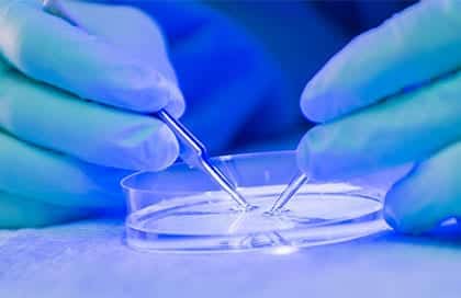 Campus Stem Cell Seminar Series